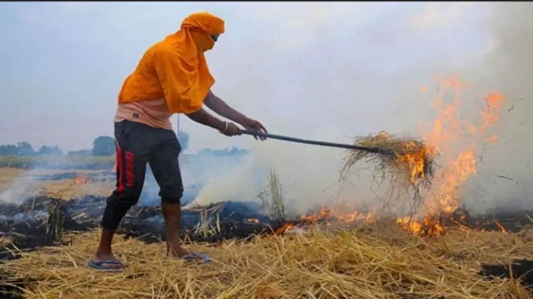 प्रदूषण बन गई है हर साल की समस्‍या...!