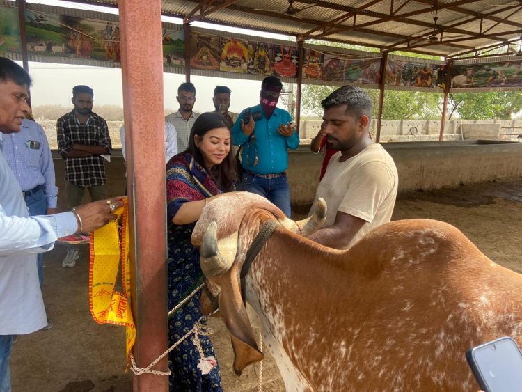 गौशालाओं का हुआ निरीक्षण