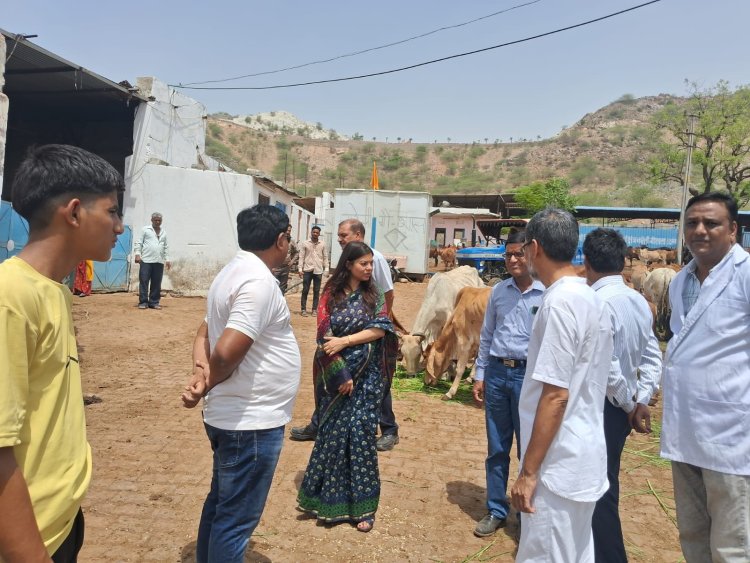 गौशालाओं का हुआ निरीक्षण